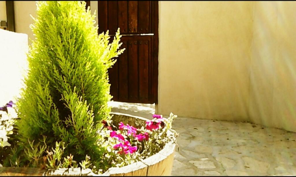 El Jardincillo Guest House Robledo de Chavela Exterior photo